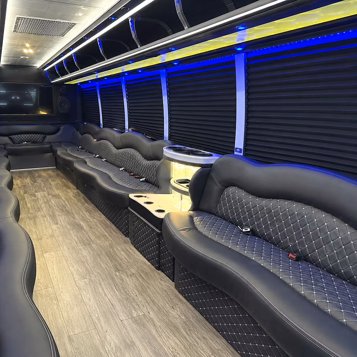 Greenville Winery Tour & Pub Crawl Transportation party bus interior