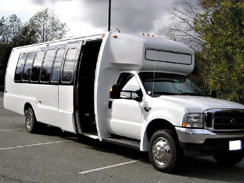 Greenville 22 Passenger Party Bus